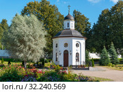 Спасо-Елеазаровский женский монастырь. Часовня на месте захоронения первой настоятельницы игумении Елисаветы. Елизарово, Псковская область (2019 год). Редакционное фото, фотограф Александр Щепин / Фотобанк Лори