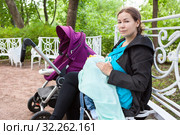 Кормящая ребенка мать в парке на скамейке. Стоковое фото, фотограф Кекяляйнен Андрей / Фотобанк Лори