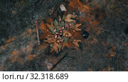 19-10-2019 RUSSIA, REPUBLIC OF TATARSTAN: a lot of wounded soldiers lying on the scorched ground - backstage of filming military movie. Редакционное видео, видеограф Константин Шишкин / Фотобанк Лори