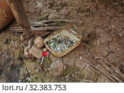 Fish Leftover in a bucket in Floating Village in Cambodia. Стоковое фото, фотограф Aleksejs Bergmanis / Фотобанк Лори