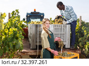 Man and woman colleagues inspecting new grapes harvest in boxes. Стоковое фото, фотограф Яков Филимонов / Фотобанк Лори