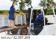 Engineers checking delivered grapes harvest. Стоковое фото, фотограф Яков Филимонов / Фотобанк Лори