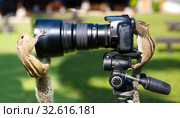 Palm squirrels staged a photo shoot. Стоковое фото, фотограф Александр Клёнов / Фотобанк Лори