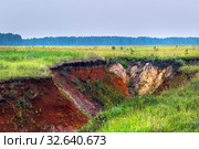 Выход природной глины красных оттенков. Село Лушники, Сузунский район, Новосибирская область, Западная Сибирь, Россия. Стоковое фото, фотограф Евгений Мухортов / Фотобанк Лори