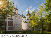Saviour Monastery of St. Euthymius in Suzdal (2018 год). Стоковое фото, фотограф Юлия Бабкина / Фотобанк Лори