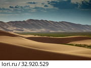 Sand dunes in Gobi Desert at sunset. Стоковое фото, фотограф Михаил Коханчиков / Фотобанк Лори