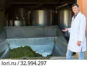 Male winemaker near grapes destemmer in winery. Стоковое фото, фотограф Яков Филимонов / Фотобанк Лори