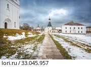 Церковь Евфимия в монастыре The church of Euthymius and the birds in the sky (2020 год). Стоковое фото, фотограф Baturina Yuliya / Фотобанк Лори