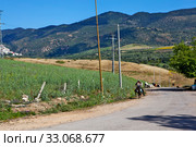 Пейзаж. Автомагистраль A2.  Мулай-Идрис. Марокко (2013 год). Редакционное фото, фотограф Сергей Афанасьев / Фотобанк Лори