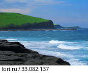 Green grass and blue ocean. Стоковое фото, фотограф Andreas Altenburger / Smarterpix / Фотобанк Лори