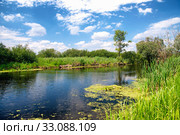 River Zala at Lake Balaton, Hungary. Стоковое фото, фотограф Gábor Páll / PantherMedia / Фотобанк Лори