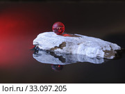 bullet. Стоковое фото, фотограф Ines Weiland-Weiser / PantherMedia / Фотобанк Лори