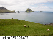 The islands Gasholmur and Tindholmur and  Mykines on the Faroe Islands. Стоковое фото, фотограф Andreas Altenburger / Smarterpix / Фотобанк Лори