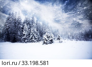 Christmas background with snowy fir trees. Стоковое фото, фотограф Erika Eros / Smarterpix / Фотобанк Лори