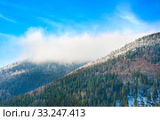 Winter in the Carpathians Mountains. Стоковое фото, фотограф Ivan Tykhyi / PantherMedia / Фотобанк Лори