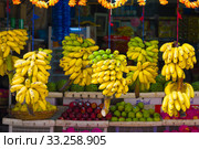 Бананы подвешенные для продажи крупным планом. Шри-Ланка (2020 год). Стоковое фото, фотограф Виктор Карасев / Фотобанк Лори