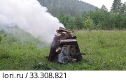 Разгорающийся костёр. Ускорено в 5,5 раз. Inflaming the fire. x5,5 times faster. Стоковое видео, видеограф Евгений Романов / Фотобанк Лори