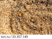 Background of seashells. Shelly beach. Стоковое фото, фотограф Евгений Ткачёв / Фотобанк Лори