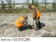 Рекультивация участка добычи нефти. Посадка саженцев сосны. Reclamation of an oil production site. Planting pine seedlings. (2015 год). Редакционное фото, фотограф Евгений Романов / Фотобанк Лори