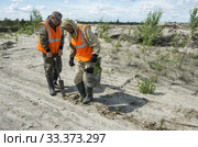 Рекультивация участка добычи нефти. Посадка саженцев сосны. Reclamation of an oil production site. Planting pine seedlings. (2015 год). Редакционное фото, фотограф Евгений Романов / Фотобанк Лори