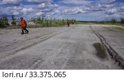 Рекультивация участка добычи нефти. Посадка саженцев сосны. Reclamation of an oil production site. Planting pine seedlings. (2015 год). Редакционное видео, видеограф Евгений Романов / Фотобанк Лори
