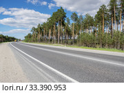 Пустое шоссе Сургут-Когалым летом. Empty highway Surgut-Kogalym in summer. Стоковое фото, фотограф Евгений Романов / Фотобанк Лори