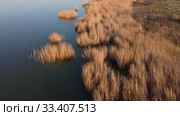 Aerial view flying over coastline, above the reeds and water. Copter moving forwards and downwards. Khadzhibey Estuary, Odessa region, Ukraine. Стоковое видео, видеограф Некрасов Андрей / Фотобанк Лори