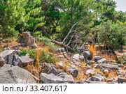 Ancient Greek city Priene on the western coast of Turkey (2019 год). Стоковое фото, фотограф Sergii Zarev / Фотобанк Лори