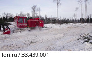 Рекультивация участка нефтедобычи. Мульчер Lamtrac LTR8400 в работе. Мульчирование вырубки. Reclamation of an oil production site. Lamtrac mulcher LTR8400 at work. Mulching the felling. (2020 год). Редакционное видео, видеограф Евгений Романов / Фотобанк Лори
