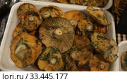 Closeup of fresh raw red pine mushrooms (lactarius deliciosus) in plastic trays. Стоковое видео, видеограф Яков Филимонов / Фотобанк Лори