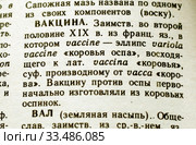 Вакцина. Значение слова. Школьный этимологический словарь русского языка. Стоковое фото, фотограф Щеголева Ольга / Фотобанк Лори
