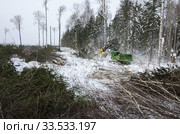 Механизированная рубка леса. Валочно-пакетирующая машина John Deere 903K в работе. Mechanized felling clearing. John Deere 903K feller buncher at work. Стоковое фото, фотограф Евгений Романов / Фотобанк Лори