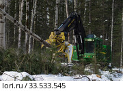 Механизированная рубка леса. Валочно-пакетирующая машина John Deere 903K в работе. Mechanized felling clearing. John Deere 903K feller buncher at work. (2014 год). Редакционное фото, фотограф Евгений Романов / Фотобанк Лори