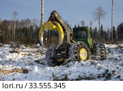 Механизированная вырубка леса. Трелевочный трактор John Deere 748H в работе. Mechanized felling clearing. John Deere 748H skidder at work. Стоковое фото, фотограф Евгений Романов / Фотобанк Лори