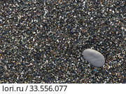 One is not like everyone else. conceptual photo of wet sea shallow pebbles. Стоковое фото, фотограф Ирина Мойсеева / Фотобанк Лори