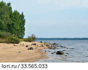 Остров Юршинский. Рыбинское водохранилище. Стоковое фото, фотограф Голованов Сергей / Фотобанк Лори