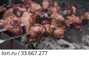 Cooking shish kebab or shashlik on skewers. Стоковое видео, видеограф Ольга Сергеева / Фотобанк Лори