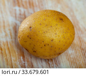 One raw potato. Стоковое фото, фотограф Яков Филимонов / Фотобанк Лори