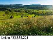Picturesque lawns of Karpaty (2017 год). Стоковое фото, фотограф Яков Филимонов / Фотобанк Лори