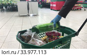 Покупатель в резиновых перчатках складывает продукты в зеленую корзинку в супермаркете Окей (2020 год). Редакционное видео, видеограф Кекяляйнен Андрей / Фотобанк Лори