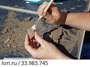 Archaeologist's hands clear the find from dust. Стоковое фото, фотограф Круглов Олег / Фотобанк Лори