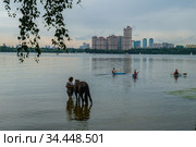 Москва, Строгинская пойма Москвы-реки (2020 год). Редакционное фото, фотограф glokaya_kuzdra / Фотобанк Лори