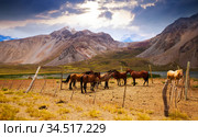 Lake Valle Hermoso Laguna near Andes. Стоковое фото, фотограф Яков Филимонов / Фотобанк Лори