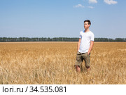 Young Caucasian man wearing shorts and white t-shirt standing in wheat field and looking far away, copy space. Стоковое фото, фотограф Кекяляйнен Андрей / Фотобанк Лори