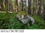 Большой валун у дороги. Оледенение. Стоковое фото, фотограф Яковлев Сергей / Фотобанк Лори