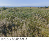 Aerial view on wooden footbridge through the reeds over flood-meadow. Kartal Eco Park, Orlovka village, Reni raion, Odessa oblast, Ukraine, Eastern Europe (2020 год). Стоковое фото, фотограф Некрасов Андрей / Фотобанк Лори