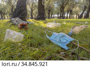 Face mask and other plastic trash in Kartal Eco Park. Kartal Eco Park, Orlovka village, Reni raion, Odessa oblast, Ukraine, Eastern Europe. Стоковое фото, фотограф Некрасов Андрей / Фотобанк Лори