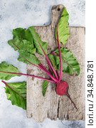 Fresh beetroot with leaves on a wooden board. Healthy food. Beetroots. Organic beet, beetroot on grey rustic background. Green living concept. Стоковое фото, фотограф Nataliia Zhekova / Фотобанк Лори