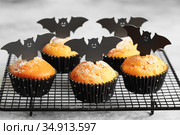 Halloween pumpkin muffins in black capsules decorated with cardboard bats. Festive Halloween cupcakes. Close-up view of delicious spooky halloween muffins on the grey table. Halloween recipes. Стоковое фото, фотограф Nataliia Zhekova / Фотобанк Лори