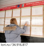 Девушка на бирже труда у информационной доски. Стоковое фото, фотограф Антонина / Фотобанк Лори